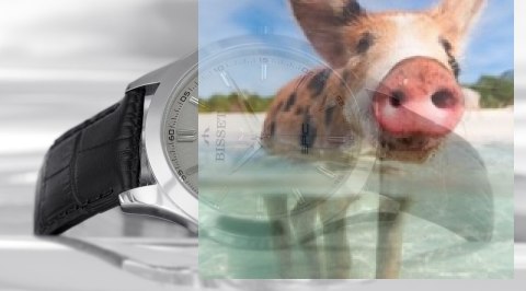 Zegarek męski BSCE50SIVX03BX