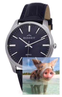 Zegarek męski BSCE55SIDX05BX