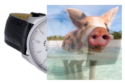 Zegarek męski BSCE55SISX05BX