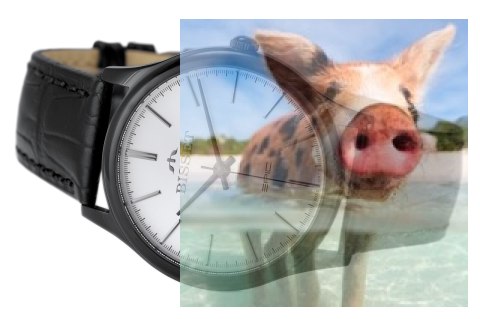 Zegarek męski BSCE56BISX05BX