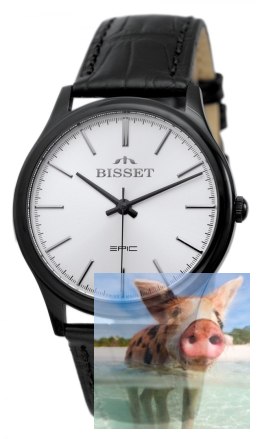 Zegarek męski BSCE56BISX05BX