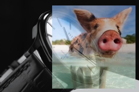 Zegarek męski BSCE56BISX05BX