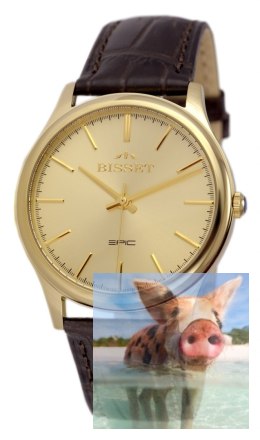 Zegarek męski BSCE56GIGX05BX