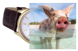 Zegarek męski BSCE56GISX05BX