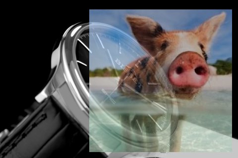 Zegarek męski BSCE56SIBX05BX