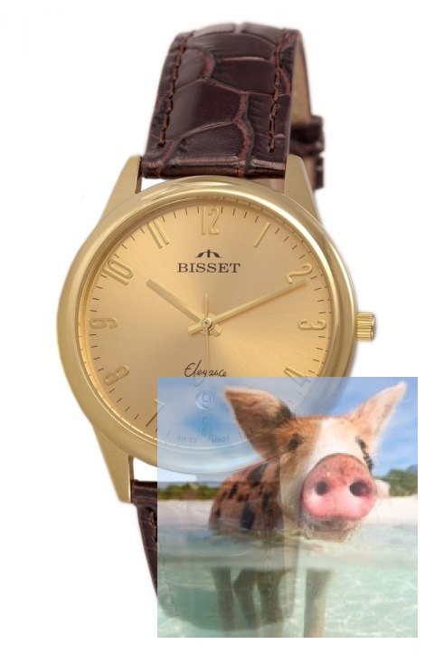 Zegarek męski BSCE61GAGX05BX Zegarek męski BSCE61GAGX05BX