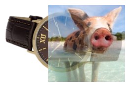 Zegarek męski BSCE64GIYX05BX