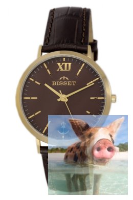 Zegarek męski BSCE64GIYX05BX