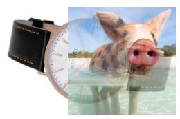 Zegarek męski BSCE75RISX03BX