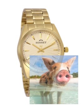 Zegarek męski BSDX65GIGX05BX