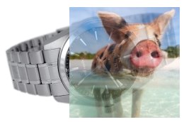 Zegarek męski BSDX65SIBX05BX