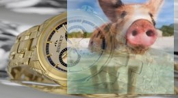 Zegarek męski BSDD99GIGS10AX