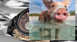 Zegarek męski BSDD99TIYS10AX