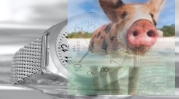 Zegarek męski BSDE49SASX03BX