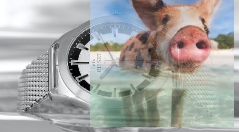 Zegarek męski BSDE49SISB03BX