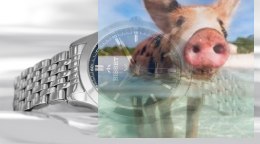 Zegarek męski BSDE51SIDX03BX