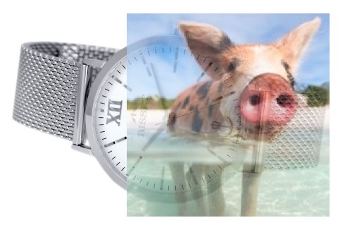 Zegarek męski BSDE65SISX05BX