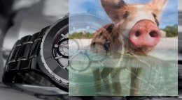 Zegarek męski BSFE10BISB10AX