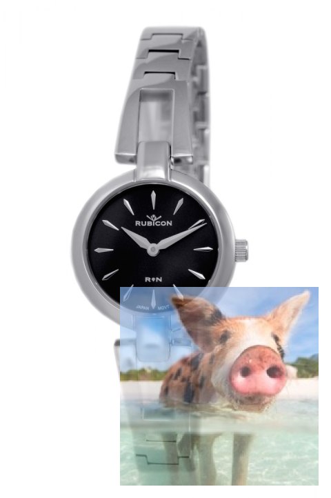 Zegarek RNBD77SIBX03BX