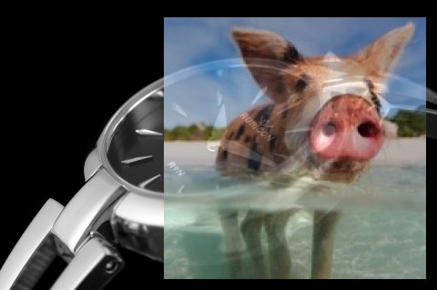 Zegarek RNBD77SIBX03BX