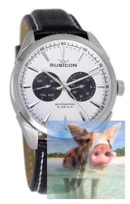 Zegarek RNCD69SIWX05AX