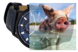 Zegarek RNCD71BIDX05AX