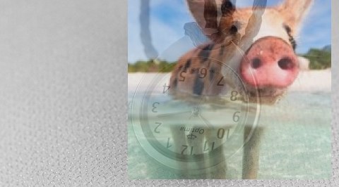 Zegarek damski OTAA26A1003x