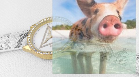 Zegarek damski OTAA32A1104x