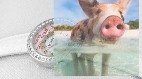 Zegarek damski OTAA33A1004x