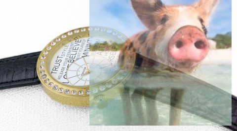 Zegarek damski OTAA33A1102x