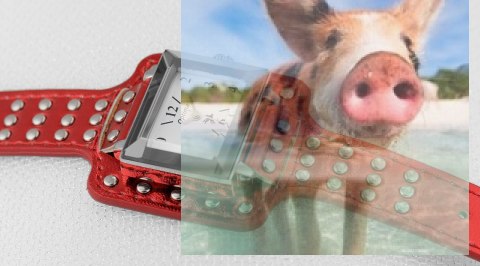 Zegarek damski OTAA35A1004x