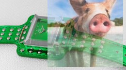 Zegarek damski OTAA35A1007x