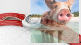 Zegarek damski OTAA36A1002x