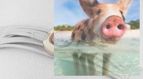 Zegarek damski OTAA36A1501x