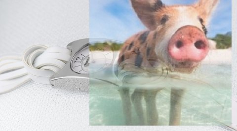 Zegarek damski OTAA38A1001x