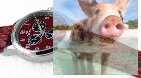 Zegarek damski OTAA52A1003p