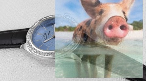 Zegarek damski OTAA63A1002x