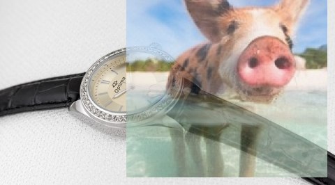 Zegarek damski OTAA63A1004x