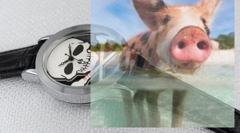 Zegarek damski OTAA69A1001x