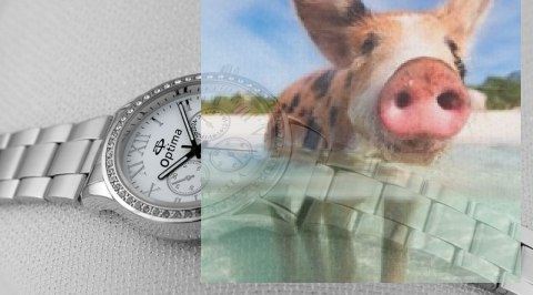 Zegarek damski OTBA05B1001p