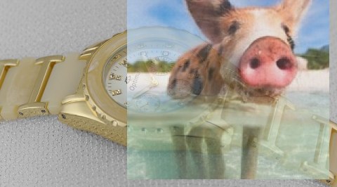 Zegarek damski OTBA42B1102p