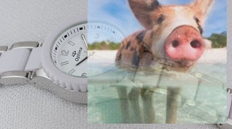 Zegarek damski OTBA43B1001x