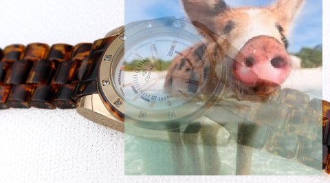 Zegarek damski OTBA44P1501x