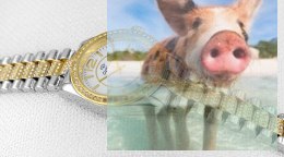 Zegarek damski OTBA50B1203x