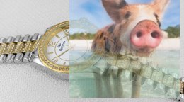 Zegarek damski OTBA50B1204x