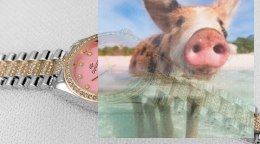 Zegarek damski OTBA50B1206x