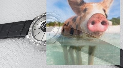 Zegarek damski OTCA20A1001x