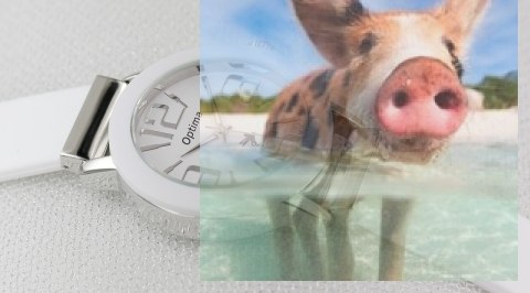 Zegarek damski OTPA56P1001x