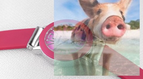 Zegarek damski OTPA56P1007x