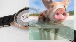 Zegarek damski OTPA59P1501x